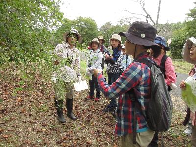 参加者とヤマハギを観察している様子の写真です。