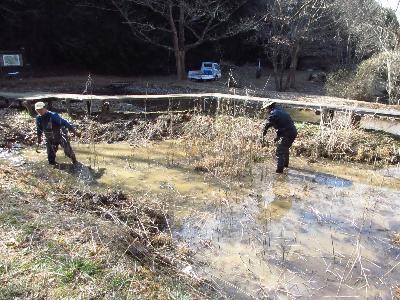ヨシ抜きをしている参加者の写真です。