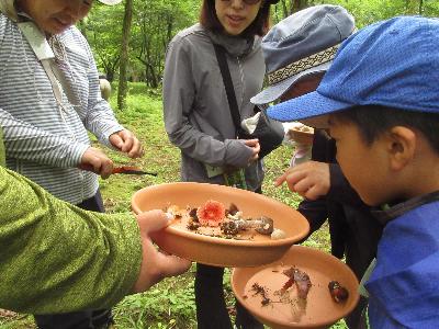 参加者どうしで採集したキノコを見せ合っている様子の写真です。