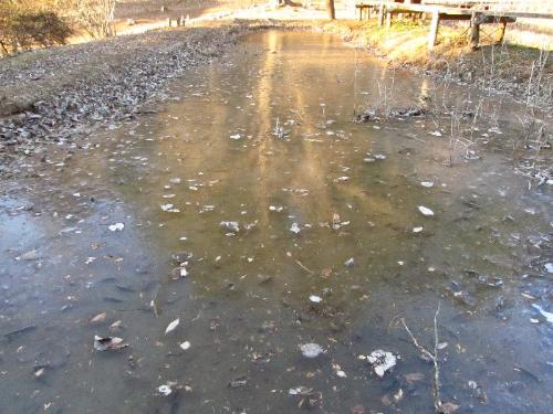 凍った池の写真です。