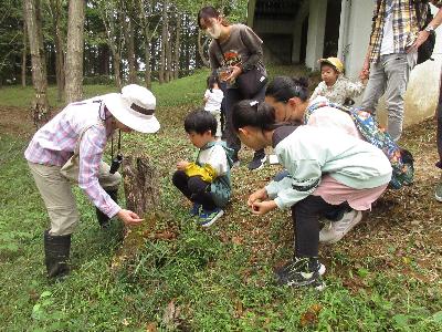 朽ちた切り株に出ていたコフキサルノコシカケを観察している様子の写真です。