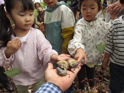 カブトムシの幼虫を触る子供たちの写真です。