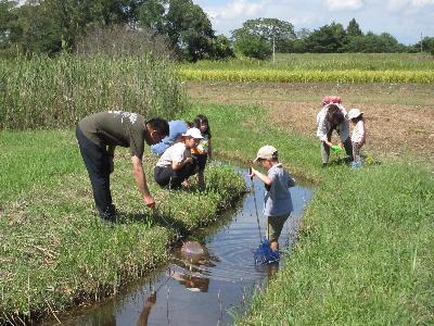 水路で生き物を探している家族の写真です。