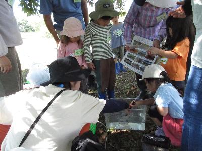 捕まえた生き物を観察している様子の写真です。