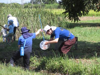 網に入った生き物を取り出している親子の写真です。