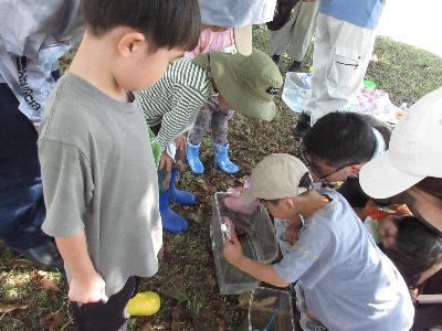 水槽をのぞき込んでアメリカザリガニを見ている子供たちの写真です。
