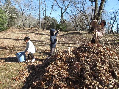 熊手を使って落ち葉を集める家族の写真です。