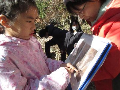 見つけた幼虫の名前を調べている子どもの写真です・