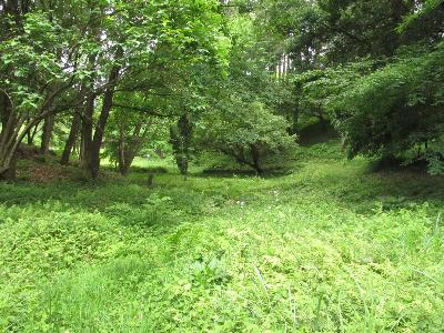 チョウの谷の風景写真です。