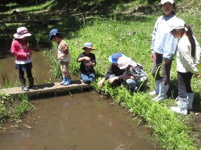 水辺で生き物探しをする子供たちの写真です。