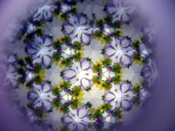 紫の草花の万華鏡の写真
