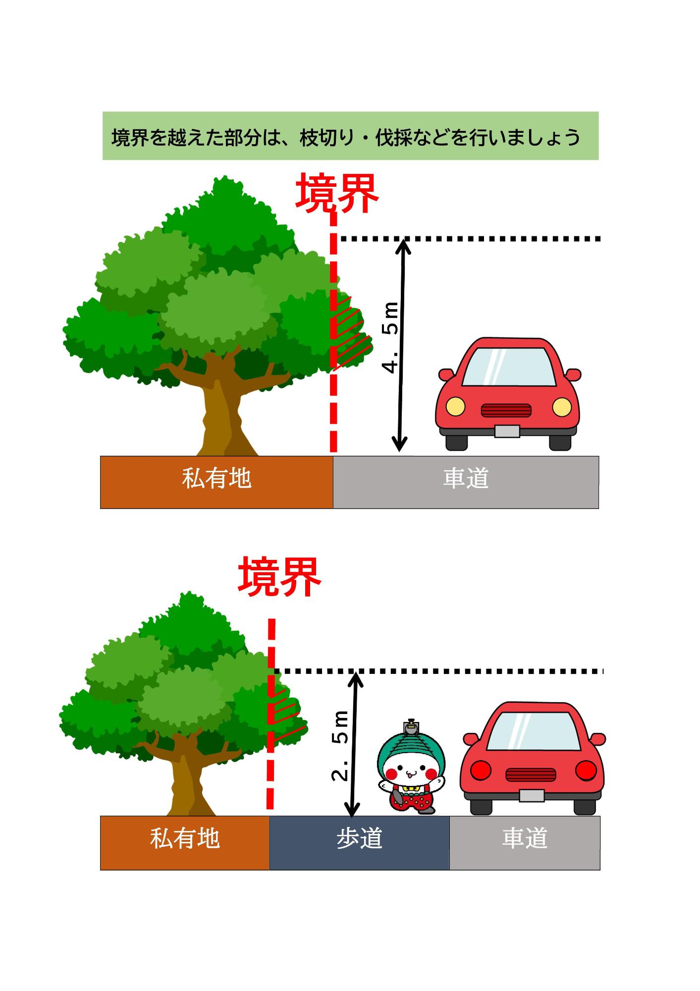 剪定範囲を示した説明図