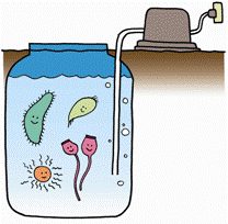 浄化槽の微生物のイラスト