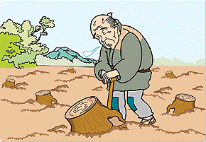 木の根を掘っている老人のイラスト