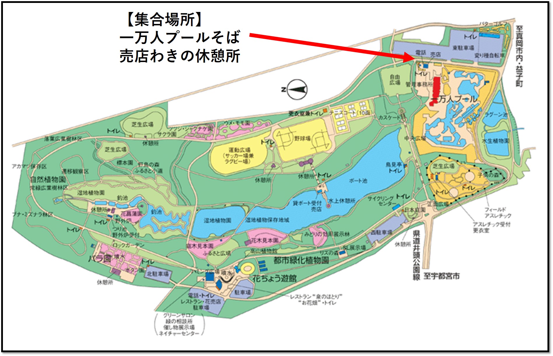 集合場所一万人プールそば売店わきの休憩所