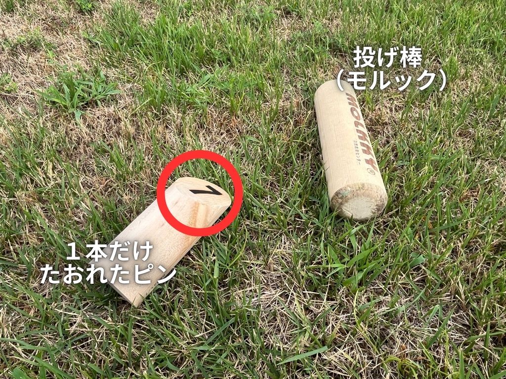 1本詳細