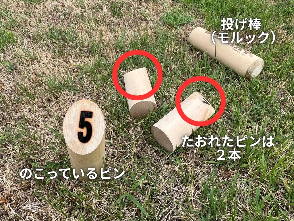 2本