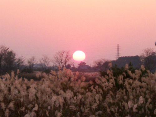 沈んでいく丸い夕日の写真