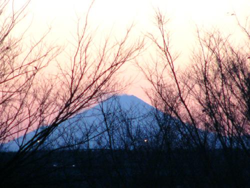 夕焼けの空に木の枝の間から富士山が見える写真