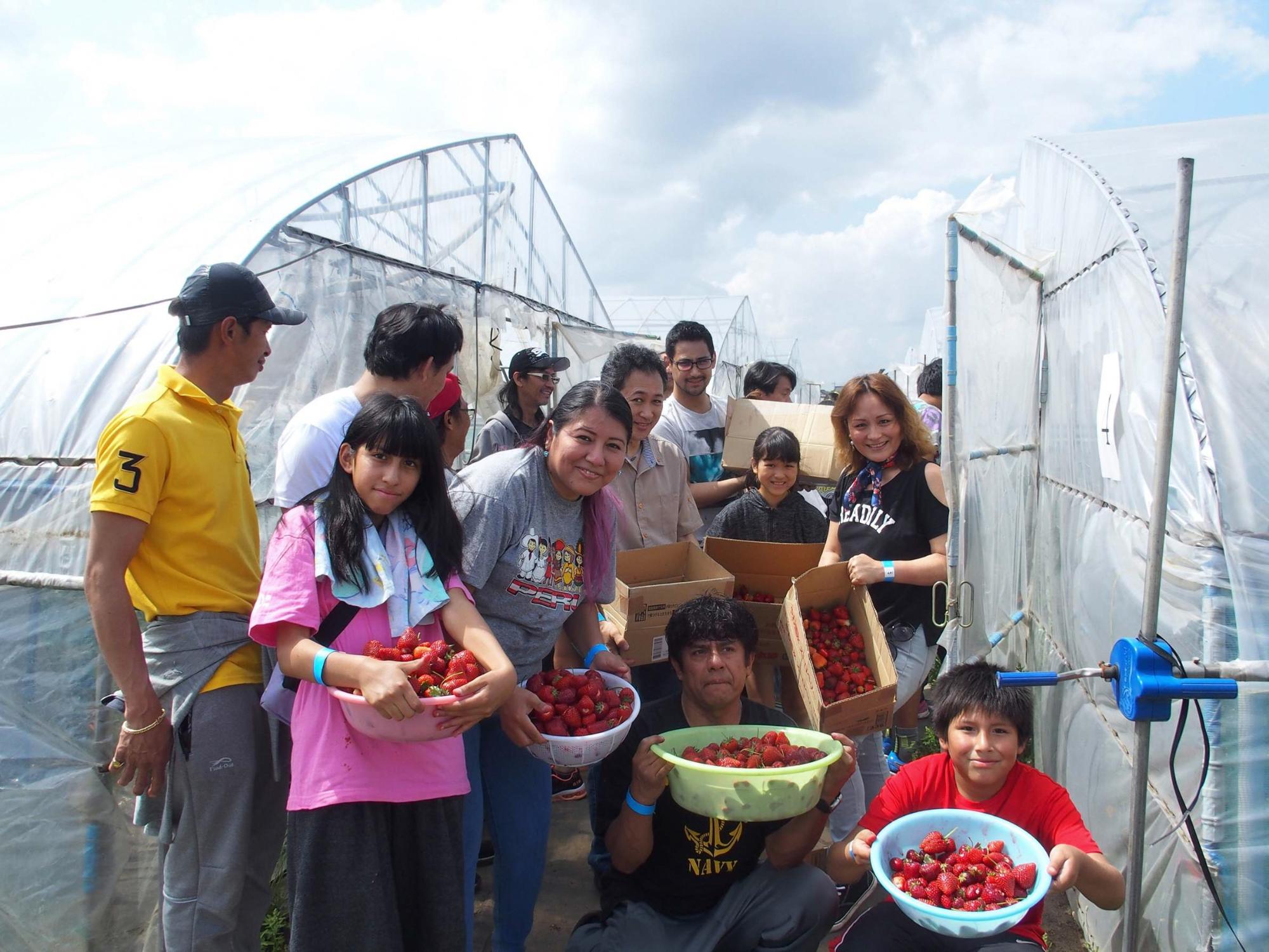 ビニールハウスの前で、籠いっぱいに摘んだ苺を持って笑顔で写る参加者達の写真