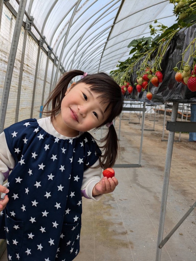 いちご狩りを楽しむ女の子の写真