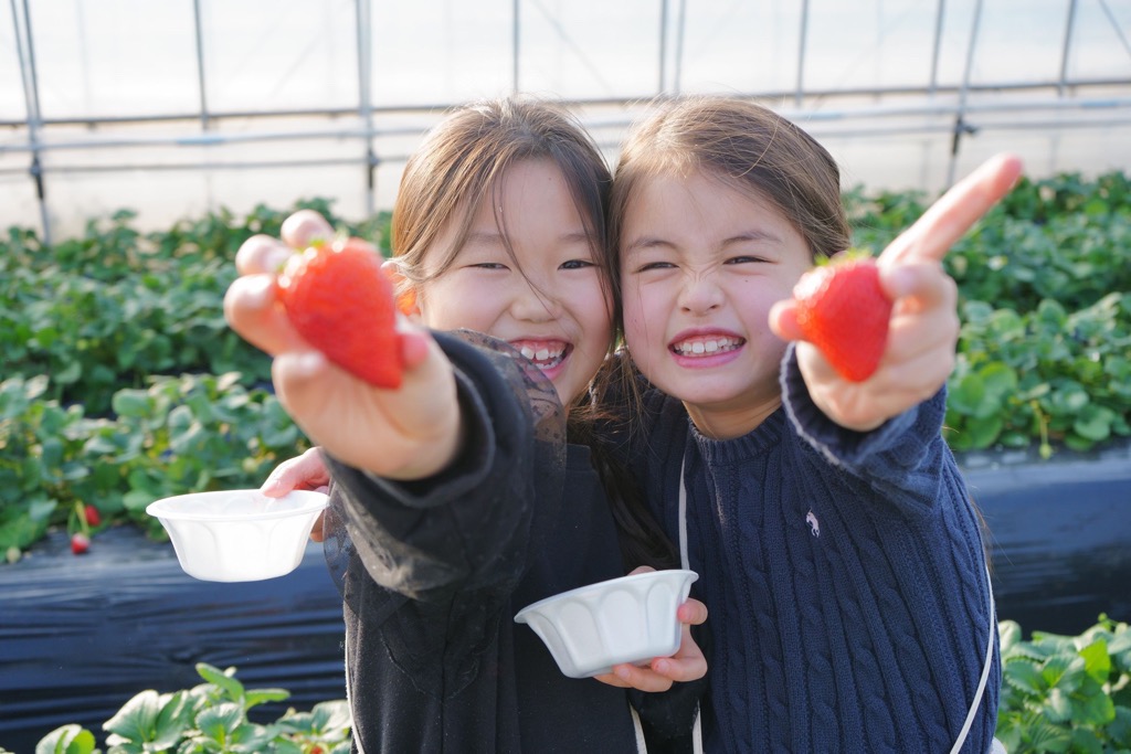 いちご狩りを楽しむ子供たちの写真