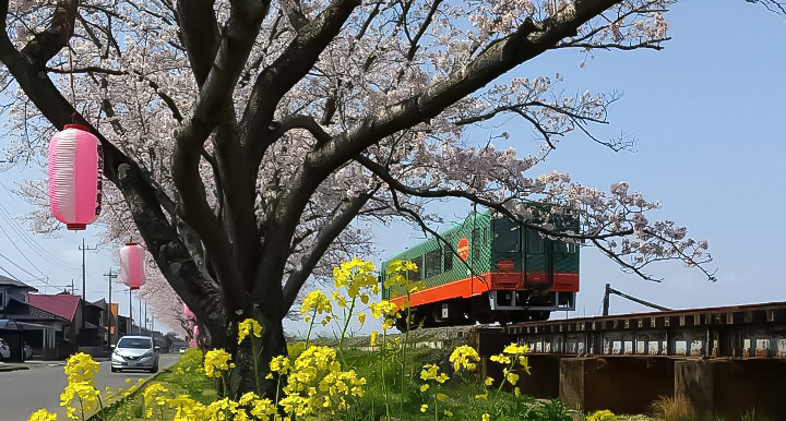 うららかな春の真岡線
