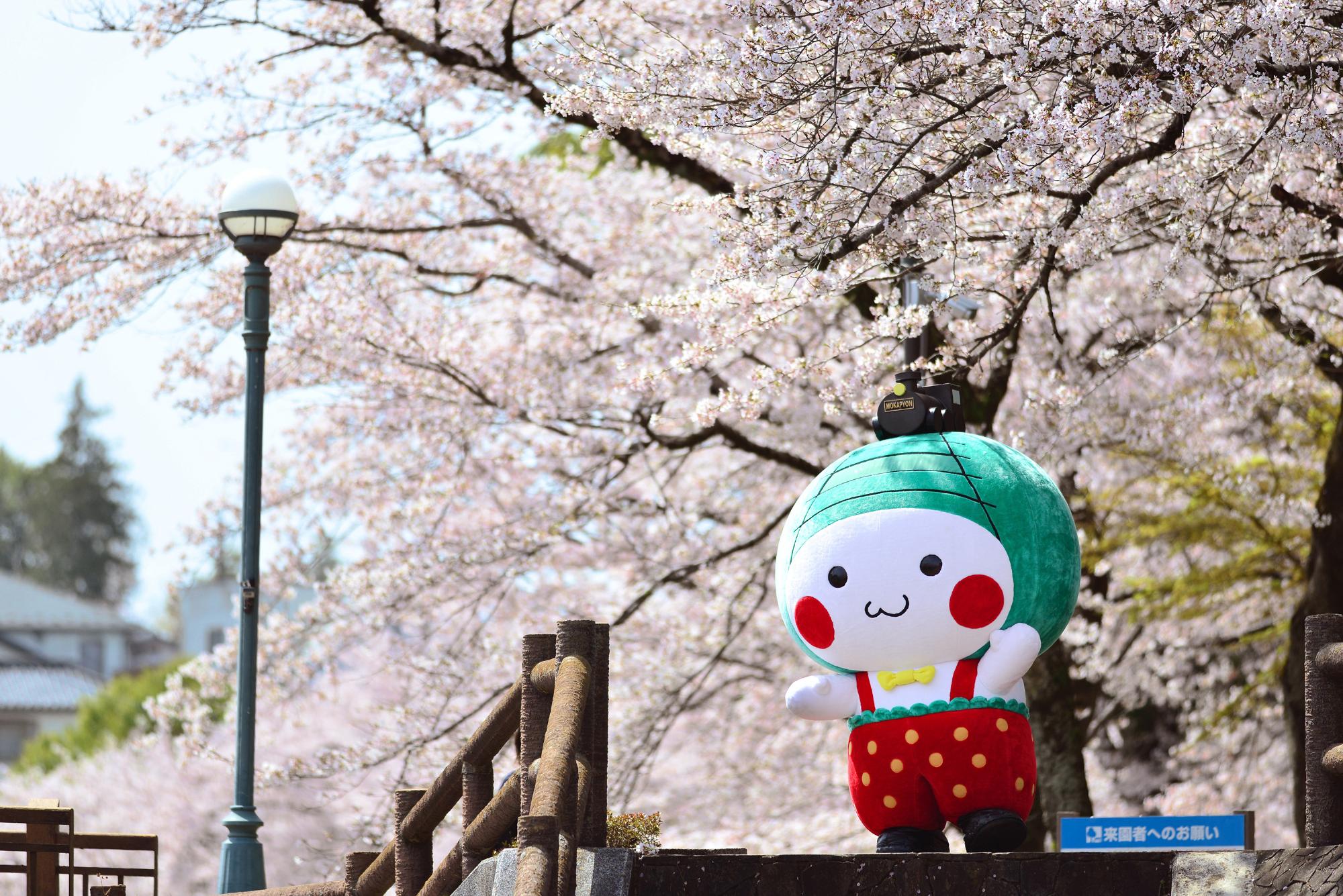 桜ともおかぴょん