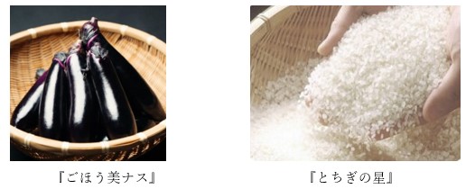 真岡の「ごほう美ナス」とお米「とちぎの星」の写真