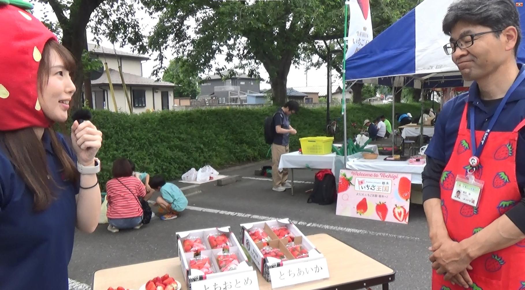 いちごフェスタ会場での生中継のようす2