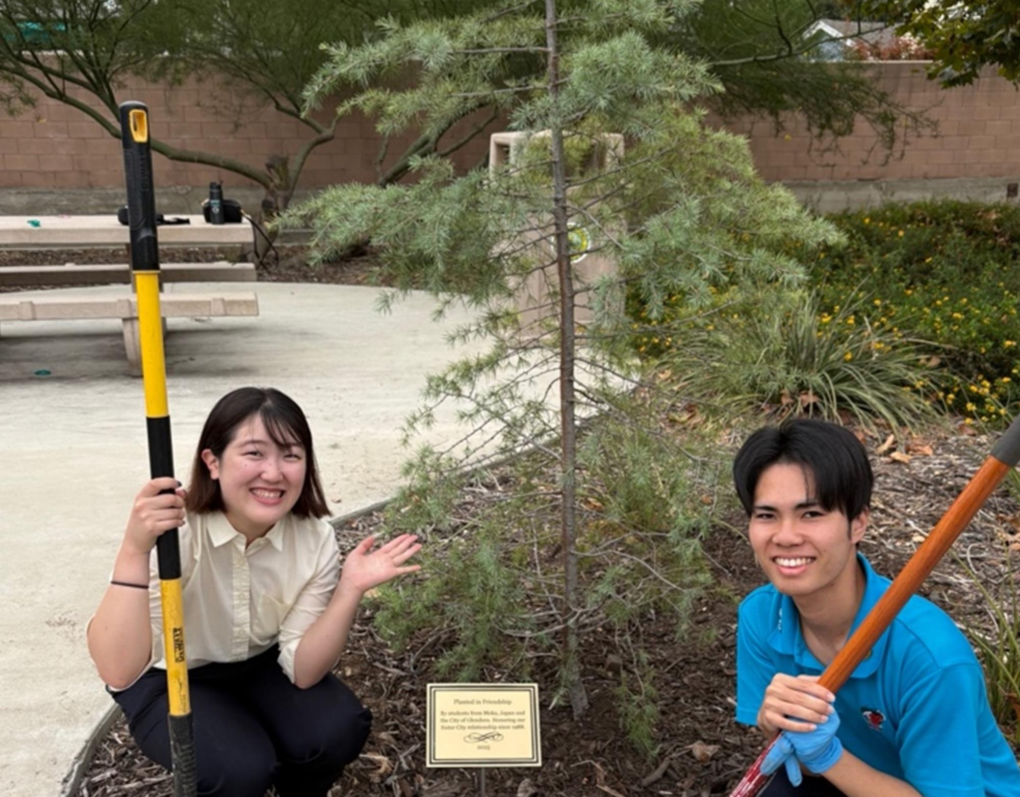 インターン生活動