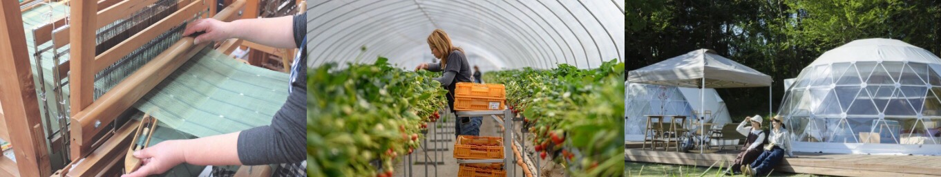 真岡市ふるさと納税の返礼品提供事業者を紹介します