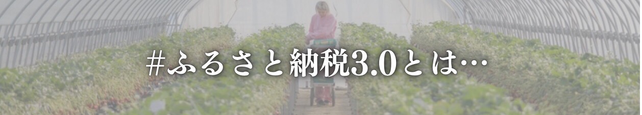真岡市内の地場産品生産事業をふるさと納税で応援できます