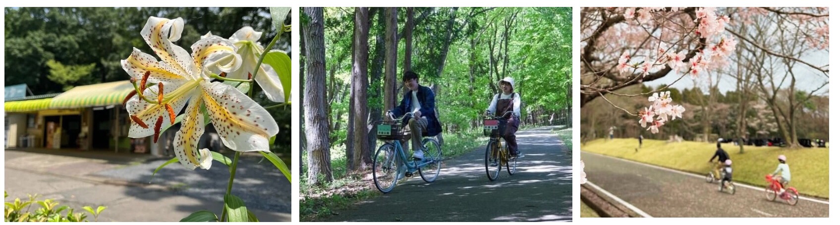 井頭公園でサイクリングを楽しむ様子