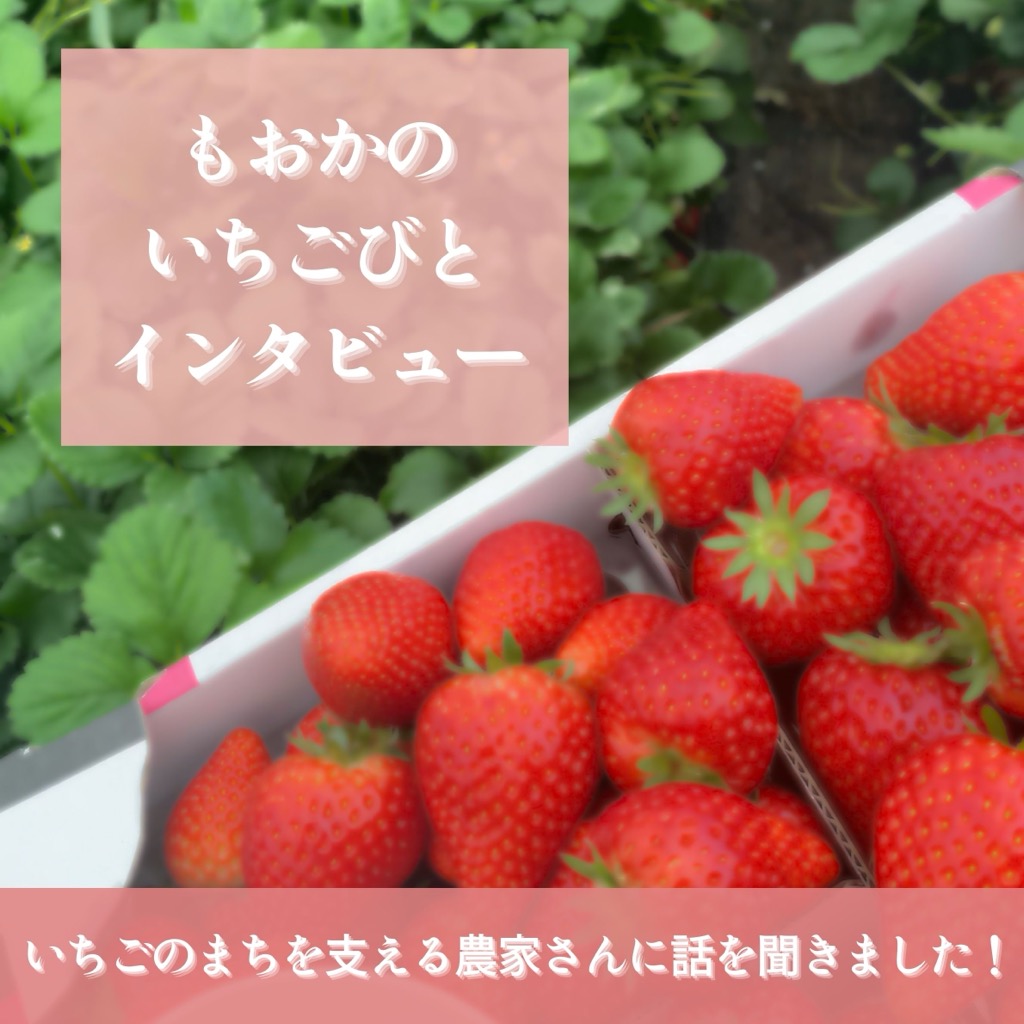 もおかのいちごびと