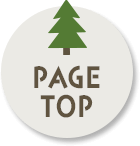 PAGE TOP